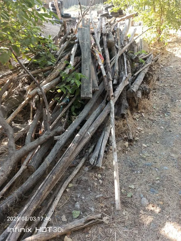 Продаются дрова цена договорная. Drovlar sotiladi, narxi kelishilgan. — фото 1