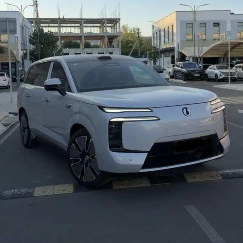 Denza N8 L full 2025.12 год 1