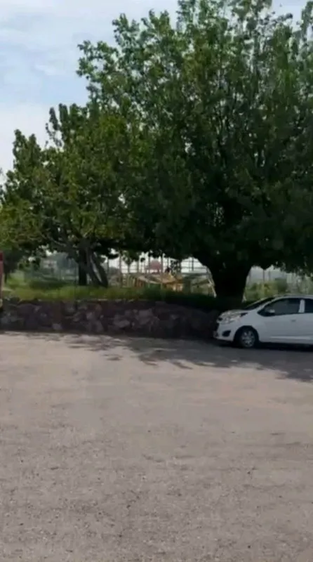 Под коттеджный городок продаётся  земля 310 соток — фото 2