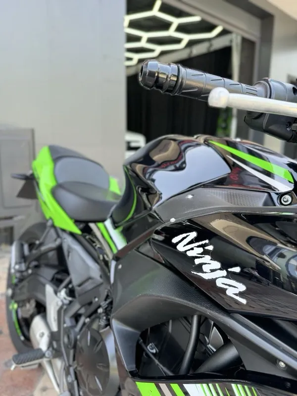 Kawasaki arginal 4