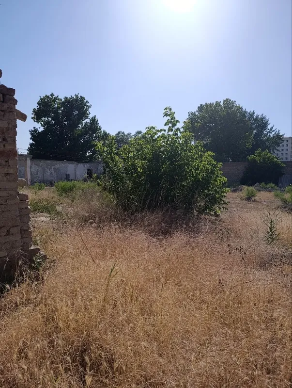 Пррдам участок Мирзоулугбек 40 сот .фасад 40 м. — фото 4