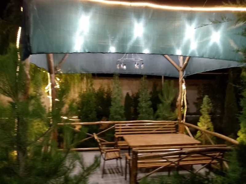 Dacha yangi hayot 7