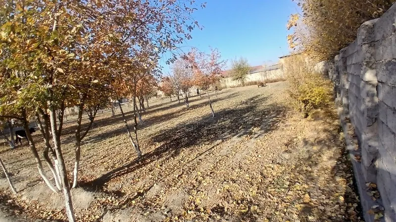 Tuman markazidan qulay joylashuvga ega yer uchastkasi sotiladi. — фото 2