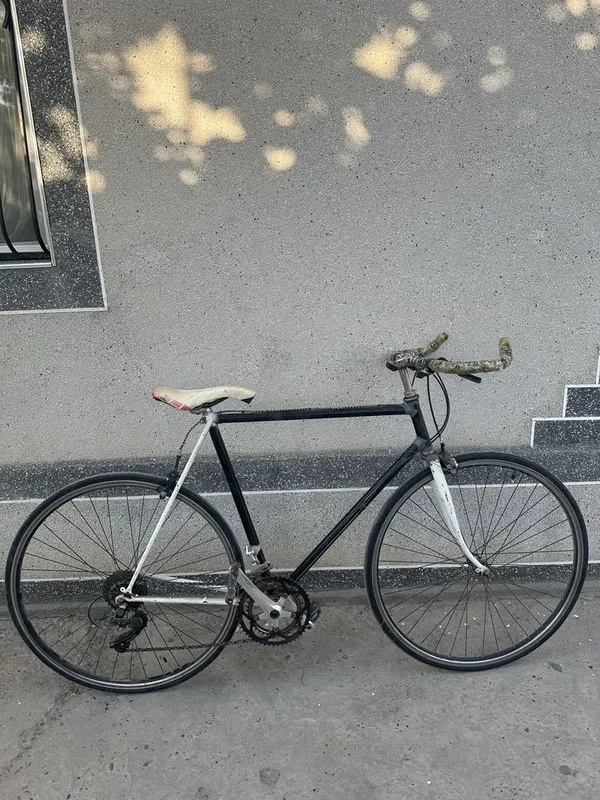 Velosiped sportivniy