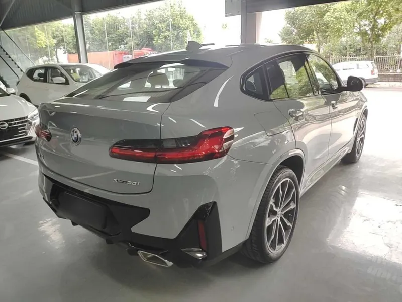 BMW X4 xDrive 30i M Sport Package — фото 5