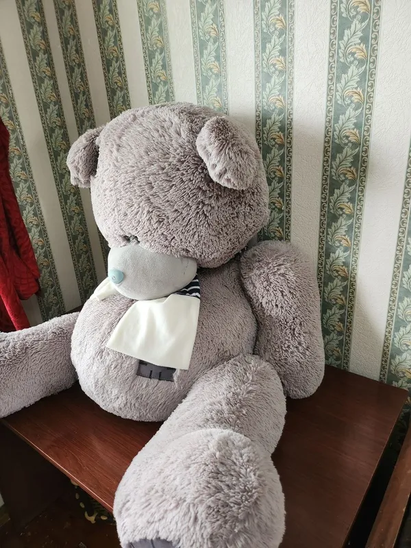 teddy мишка