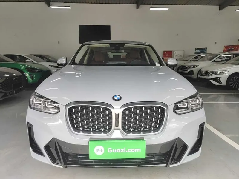 BMW X4 xDrive 30i M Sport Package — фото 1