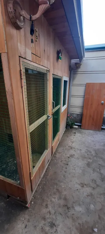 Qushlar uchun katak