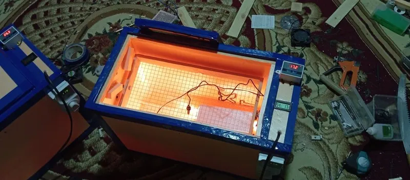 Inkubator 50 talik