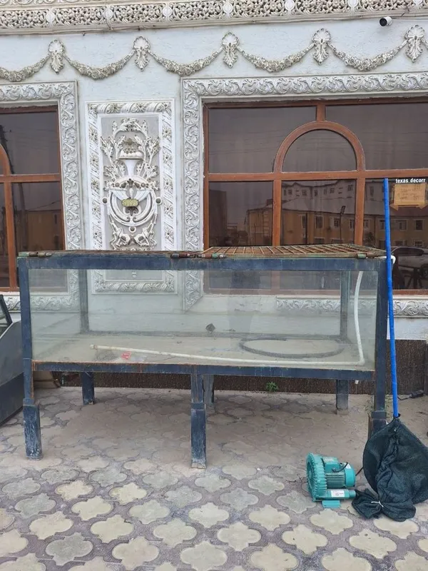 Baliq saqlaytin ( АКВАРИУМ )