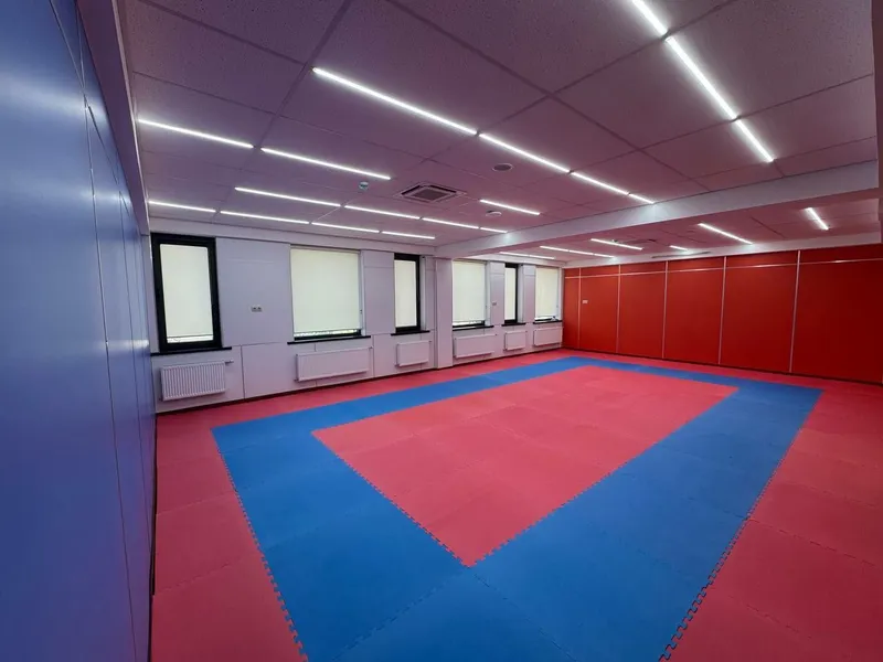 Tatami eva xitoy original ( dayan ) — фото 2 Tatami eva xitoy original ( dayan ) — фото 2