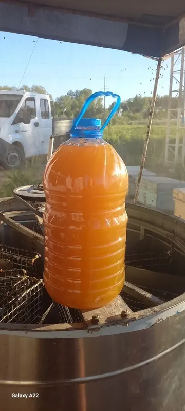 чистый натуральный мёд 6