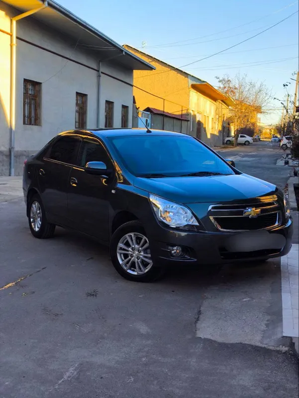 Cobalt 2024 23.000 Kraska toza