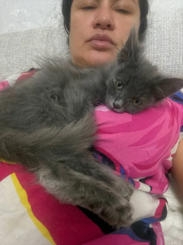 Отдам в добрые руки котята — фото 3
