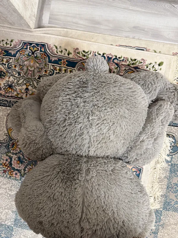 Teddy ayiqcha