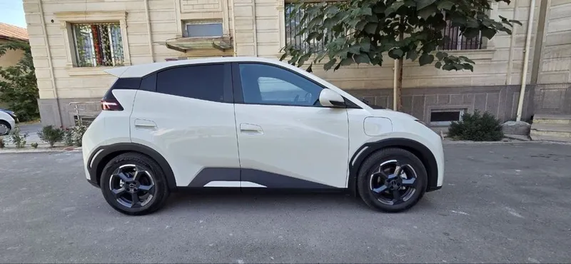 Byd seagull full сотилади 2 Byd seagull full сотилади 2