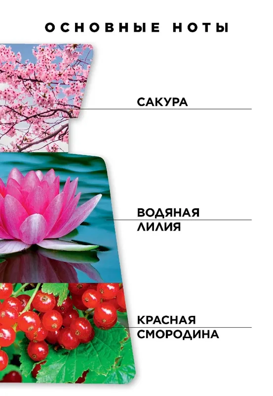 Парфюмерная вода для женщин Kaori 2