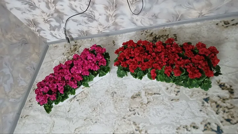Suniy gullar katta hajimda — фото 1