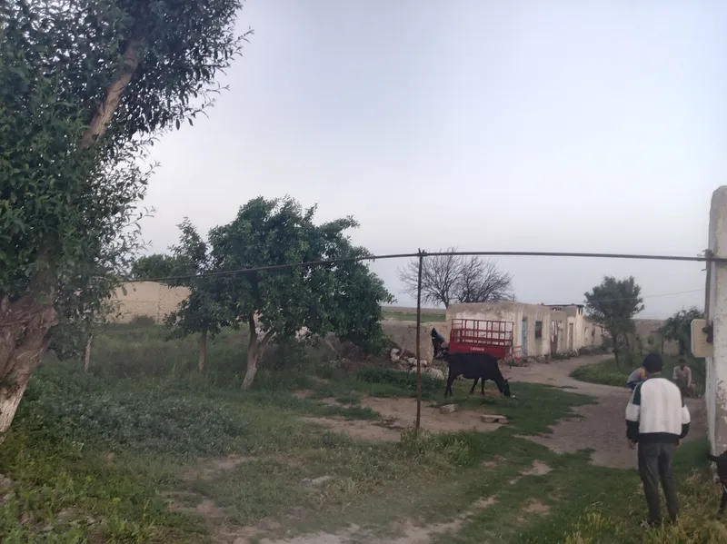 Uy sotiladi suv gaz svet bor — фото 1
