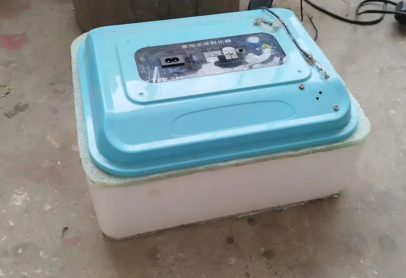 inkubator инкубатор — фото 1