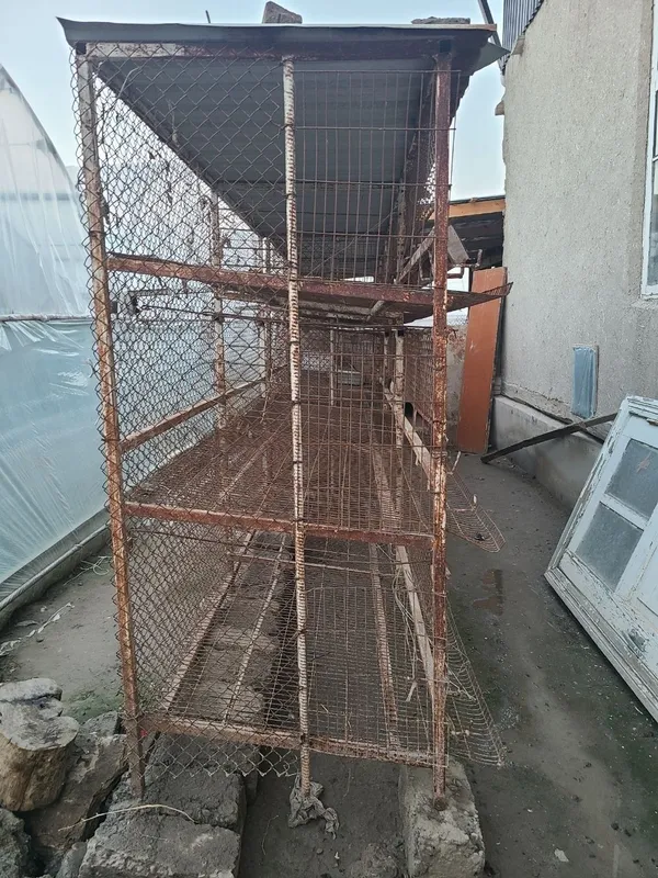 Товук катаклари сотилади нари 2500 дан 5 Товук катаклари сотилади нари 2500 дан 5