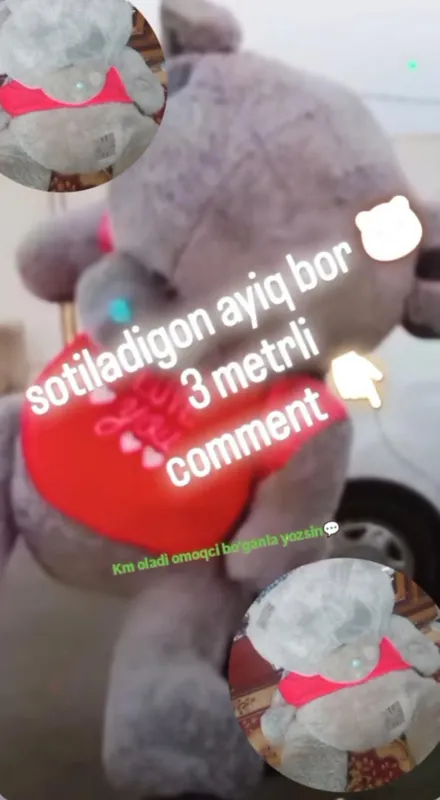 Ayiq
