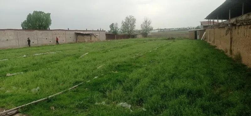 Yunsobod zenitan 1 km kirganda hasanboyda yer sotiladi 19sutu — фото 1