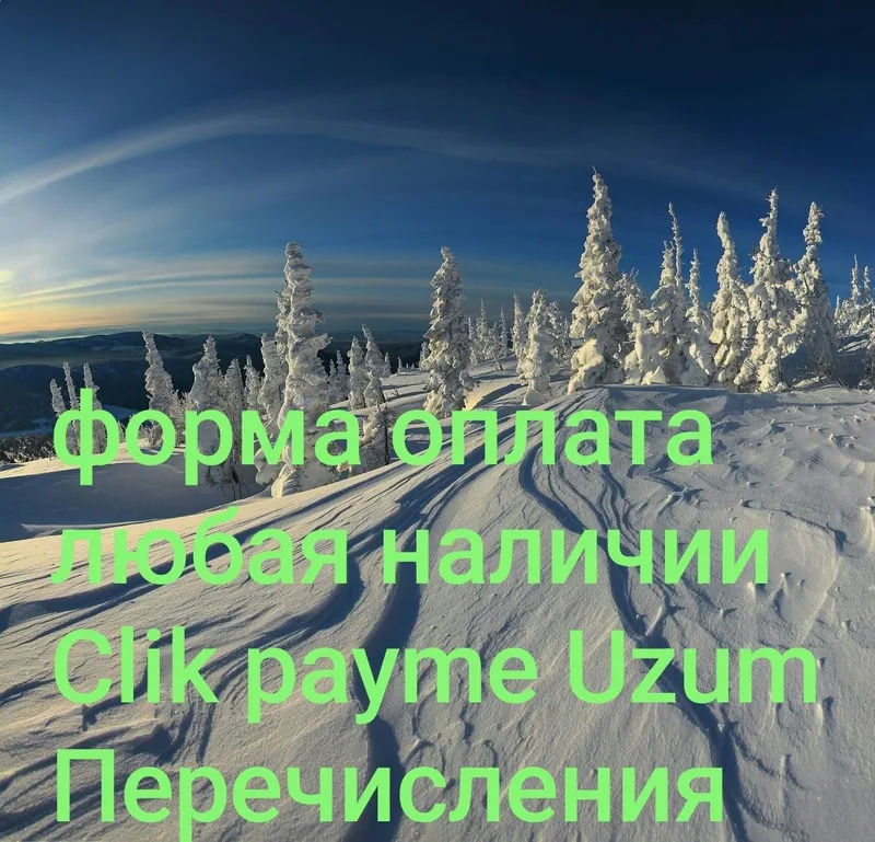 Автоэлектрик выезд грузовой и спец техника — фото 5