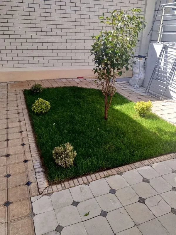 Lanshaf Archa kesish gazon ekish xizmati 7 Lanshaf Archa kesish gazon ekish xizmati 7