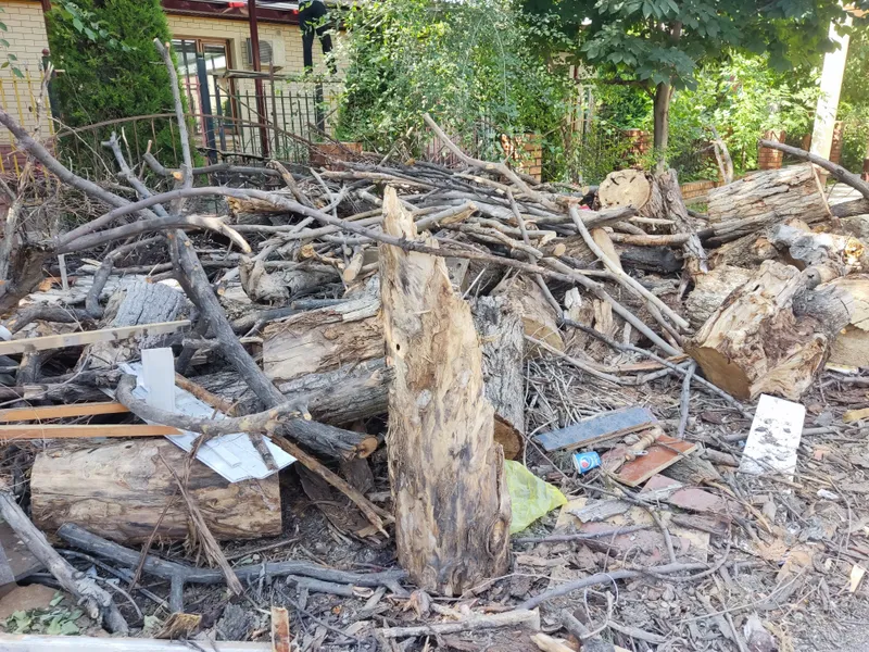 дрова. — фото 1