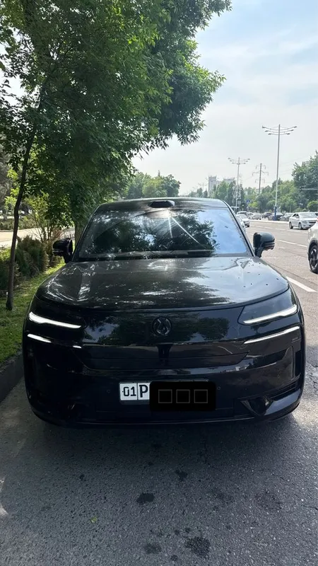 Denza n9 фулл позиция