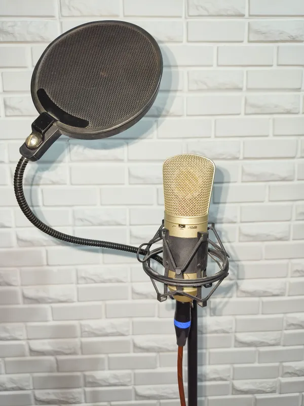 Mikrofon va audio karta — to‘liq komplekt 2