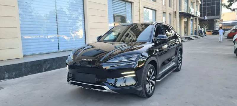 BYD Chempion кора