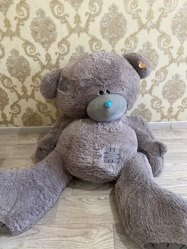 Plush ayiqcha