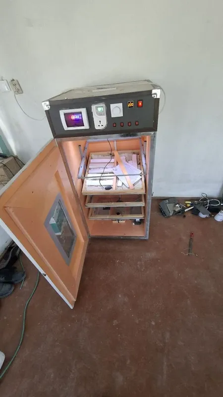 Inkubator sotiladi barcha maʼlumotlar telegramda 4 Inkubator sotiladi barcha maʼlumotlar telegramda 4