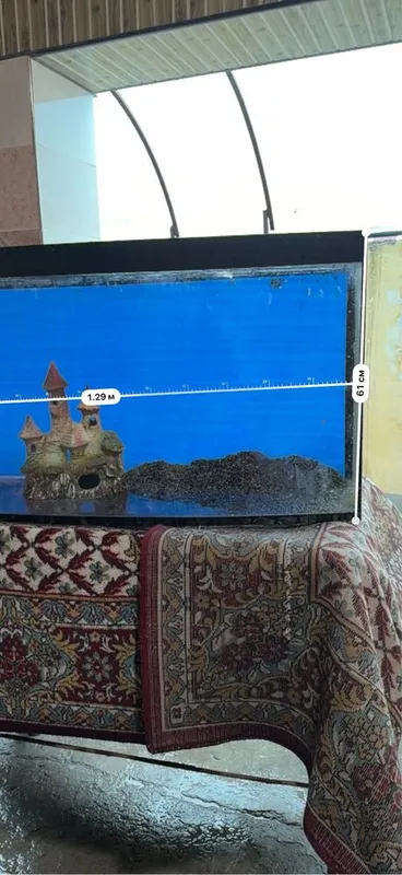Аквариум катта размерда. 350 л сув кетади — фото 3