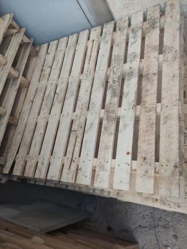 1.10 ga 1.10 sm paddon narxi 80 mingdan Termiz shahar — фото 1