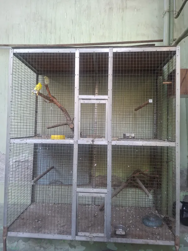 Клетка для птиц, размер большой, продаётся. 2