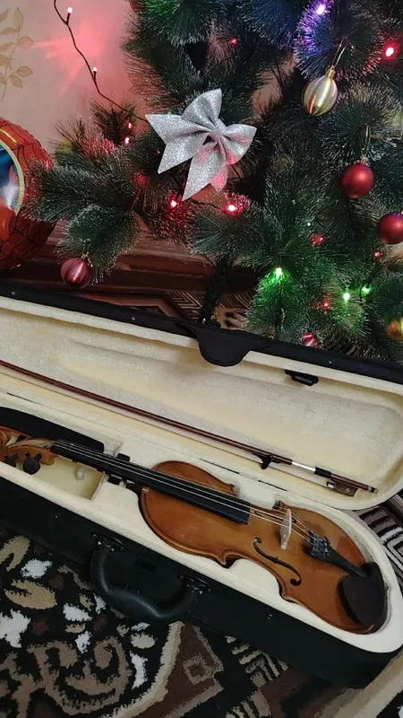 Musiqa asbobi SKRIPKA