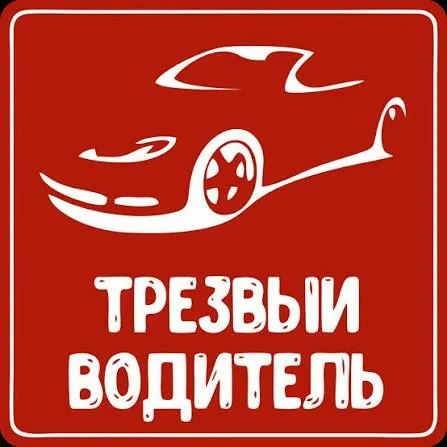 трезвый водитель