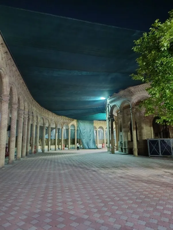 Mikroklimat va setka ustanovka qilamiz — фото 2