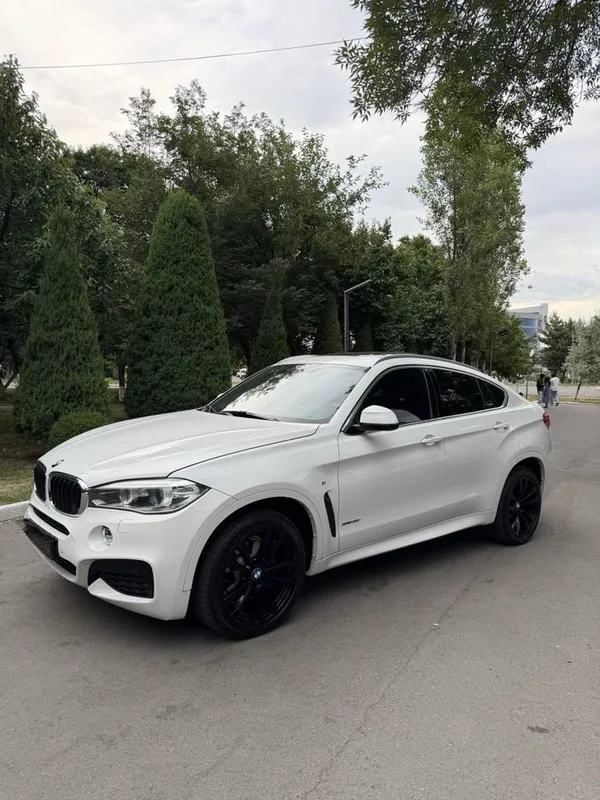BMW X6 2016 Kraska Top tozza — фото 1