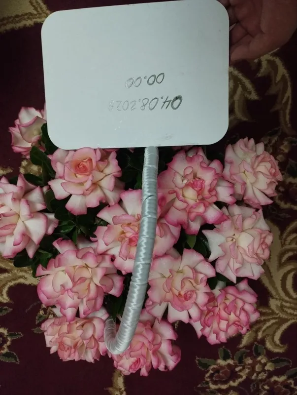 Yengi tug'ilgan kunga sovg'a qilingan gullar 3 Yengi tug'ilgan kunga sovg'a qilingan gullar 3