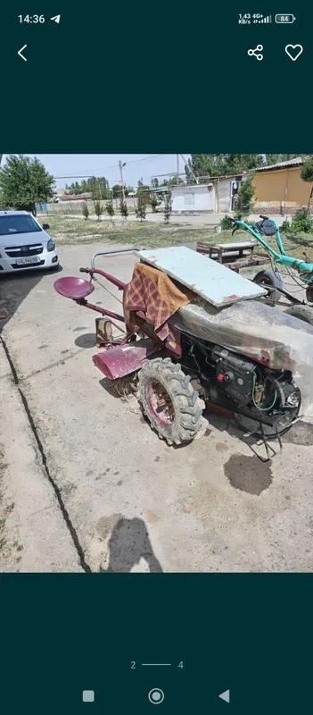 mata bolok zubr 192 lik