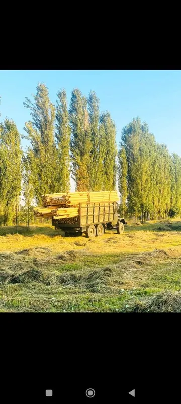 Terak olamiz va sotamiz istalgan razmerlarda bor — фото 1