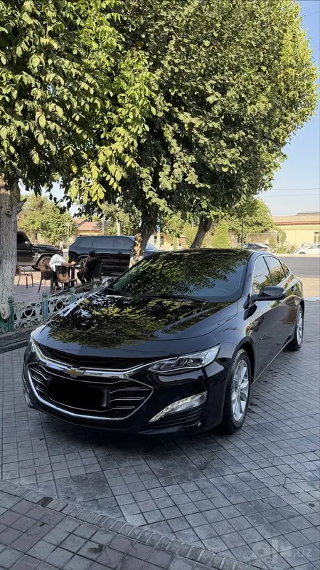 Malibu 2 premier kraskasi tozza 1 Malibu 2 premier kraskasi tozza 1
