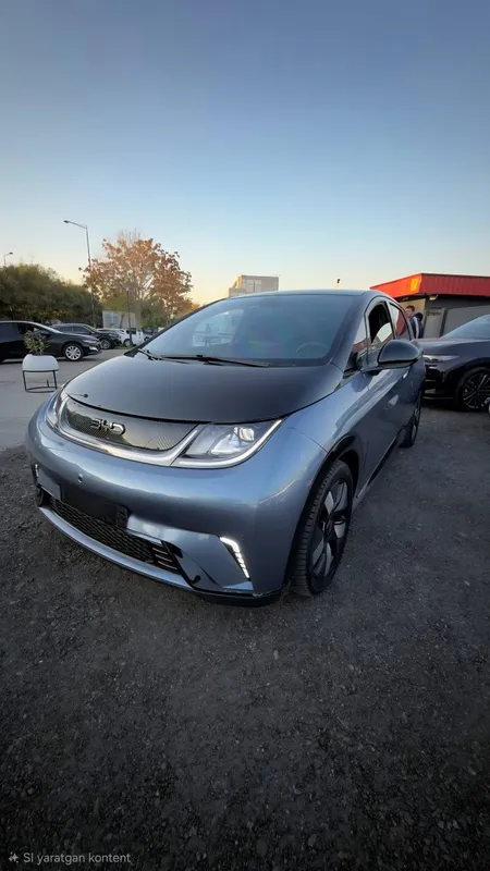Byd dolphin knight OBMEN 1