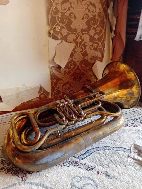 Muzikalni instrument