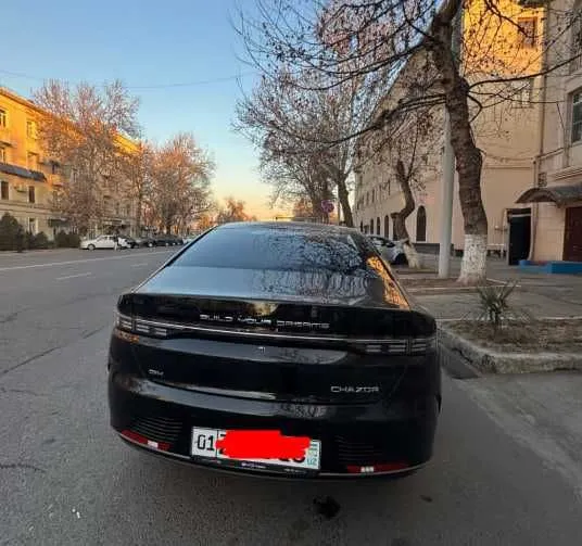 BYD Chazor Champion DM-i Luxe 55km — фото 2
