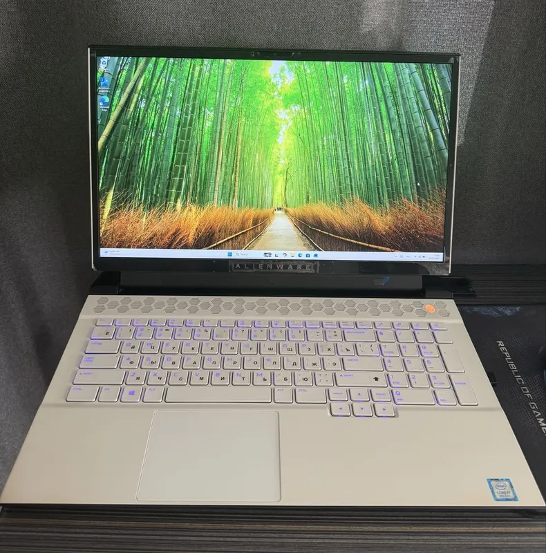 Dell Alienware m17 R2/ CORE i7/9th Gen 1 Dell Alienware m17 R2/ CORE i7/9th Gen 1
